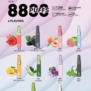 🚀CHILL 8800 Puff｜潮人最IN爆煙神器💨即開即爽 滿10送1 口味備注